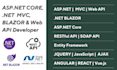develop asp dot net mvc, asp net core, blazor, and web API