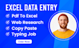do excel data entry, convert pdf to excel, copy paste, typing and web research