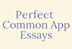 help write your common app, admission essays