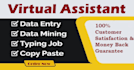 do excel data entry, PDF to excel, web scraping, data mining, virtual assistant
