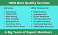 do excel entry, web research, web scraping