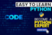 teach you programming in python