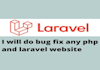 bug fixing in laravel projects