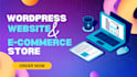 develop professional wordpress website