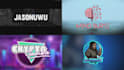 design a custom youtube intro, outro, and animated logo in HD