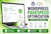 do wordpress pagespeed optimization and improve core web vitals