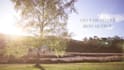 create a beautiful summer nature photo gallery animation