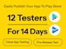 provide 12 tester for your app