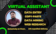 do fastest data entry, data mining, copy paste,  internet research and typing