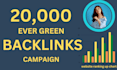 do 20,000  offpage seo backlinks campaign link building