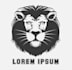 design modern awesome  lion logo