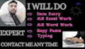 do fast and accurate excel PDF data entry work