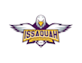 do make an modern custom eagle logo