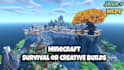 professionally build survival or creative minecraft builds