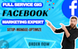do facebook advertising, marketing, fb ads campaign