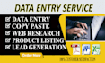 do superlative data entry, web research, copy paste