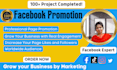do facebook promotion to grow your business organically