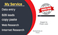 professional data entry and lead generation expert