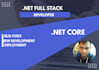 expert website development services
