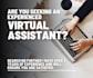 provide professional virtual assistance service
