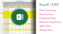 do data cleaning, organize and format excel or CSV