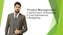 do planning and cost control, project management services
