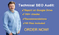do a professional technical SEO audit of your website