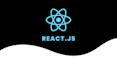 develop custom react website and react web app