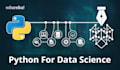 do data science  data analysis  data vizualisation using python r sql