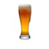 walk you through brewing your homemade Beer