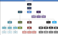 create organization chart, organogram or organization structure
