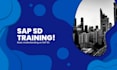 do basic sap otc training