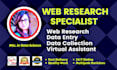 do web research and data entry