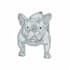 draw any dog breed