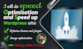 do speed optimization and speed up wordpress site