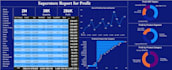 do analytics of your data and create interactive dashboards and reports