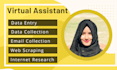 be your virtual assistant for data entry, typing, copy paste and web research