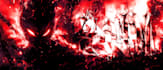 make a phonk style banner for you
