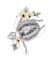 draw a water animal tattoo design for you