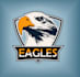 do make an modern custom eagle logo