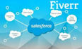 be your salesforce consultant and developer