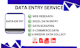 do fastest excel data entry, web research, copy paste,