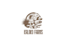 provide professional farms logo design