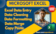 do excel data entry, excel data cleaning, formatting, data merge and vlookup
