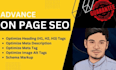 do on page SEO optimization of wordpress, shopify, wix