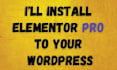 install elementor pro and astra pro to your wordpress