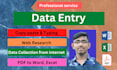 do professional data entry and typing job