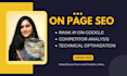 onpage SEO service and technical optimization of the wordpress website