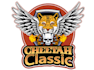 design wonderful cheetah logo