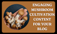write attractive SEO content about mushroom cultivation